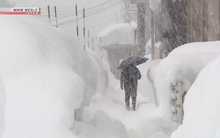 Nhiều người bị tuyết vùi lấp tử vong tại Nhật Bản