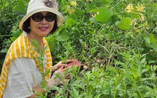 Ở tuổi 50, tôi đã không quá khủng hoảng khi nghĩ đến nghỉ hưu: Tất cả bắt đầu từ 500.000 đồng/tháng cách đây 10 năm