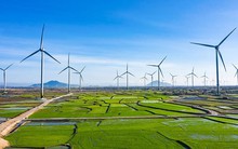 Một công ty điện gió thuộc Trung Nam Group tăng vốn gấp 68 lần