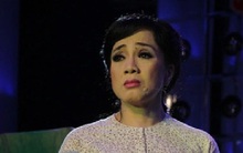 Nữ NSƯT ở Mỹ vượt bão tuyết về Việt Nam