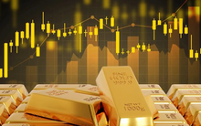 Một ngân hàng lớn dự báo vàng có thể chạm 6.500 USD/ounce năm nay, cán mốc 8.600 USD vào 2027