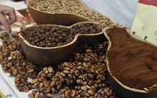 Giá cà phê hôm nay 21-2: Chốt tuần giảm, sắp chạm sàn