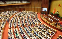 Nhân sự Chính phủ, Quốc hội ứng cử đại biểu Quốc hội khóa XVI