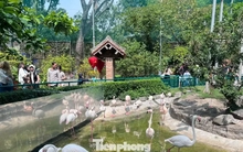 Thảo Cầm Viên Sài Gòn chật kín người du xuân