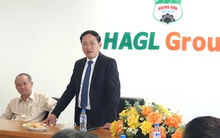 Chủ tịch UBND tỉnh Gia Lai "xông đất" doanh nghiệp của “Bầu Đức"