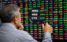 Soi top danh mục các "cá mập" nghìn tỷ: MWG cùng 2 cổ phiếu ngân hàng chiếm sóng