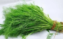 Rau thì là có gây suy thận? Các bác sĩ cảnh báo: Để tránh tổn thương thận, hãy ăn ít 3 loại rau này