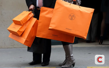 Không phải vàng, Bitcoin hay cổ phiếu, đây mới là kênh đầu tư lợi nhuận 300% mà giới siêu giàu đổ xô mua vào để giữ tiền