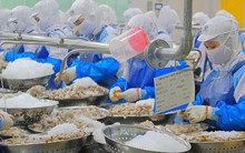 Nhận tin vui từ Mỹ, một cổ phiếu thủy sản "bung nóc": Có thể lãi gấp đôi chỉ sau một đêm?