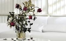 Sau Tết nhiều nhà mắc 5 lỗi phong thủy mà không biết: Bảo sao tiền bạc trôi tuồn tuột