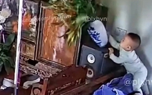 Đoạn video đang khiến cư dân mạng Việt Nam "bùng nổ": Bố mẹ cư xử thế này, bảo sao gia đình hạnh phúc!