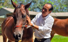 Cụ ông U80 quê Hà Tĩnh: 76 tuổi vẫn làm Chủ tịch 'cầm trịch' dự án trường đua ngựa 1.550 tỷ đồng