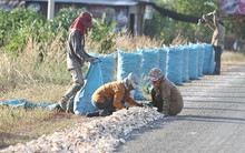 Bị Thái Lan quay lưng với sản phẩm chủ lực, dân Campuchia như ‘ngồi trên đống lửa’, than trời vì bán phá giá cũng ế người mua