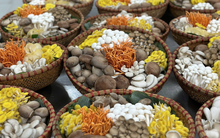 Không chỉ có 'Đệ nhất danh trà', Thái Nguyên còn có 'sản vật thơm' đang chinh phục cả Mỹ và Nhật