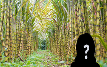 Cụ bà U90 sở hữu khối tài sản hơn 400 tỷ đồng, đút túi hơn 40 tỷ tiền cổ tức trong vòng 1 năm