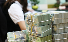 Bao nhiêu người dân Việt Nam có tiết kiệm gửi tại ngân hàng?