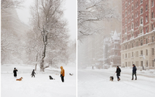 Phía sau khung cảnh New York trắng xóa như cổ tích những ngày này