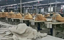 Thêm trường hợp người sử dụng lao động được tạm dừng đóng BHXH từ ngày 1-3