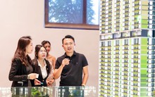 Dòng tiền bất động sản sẽ “rót mạnh” vào khu vực nào trong năm Bính Ngọ?