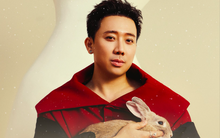 Nam đạo diễn duy nhất có 5 phim Tết vào top doanh thu cao nhất Việt Nam