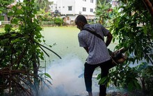 Loài động vật nguy hiểm nhất thế giới giết chết hơn 1.000.000 người mỗi năm: Không phải con vật bạn đang nghĩ