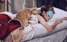 Bí quyết "hack tuổi" của giới siêu giàu: Mặc đồ ngủ gốm sinh học nuôi mộng trường sinh bất lão