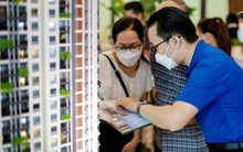 Hành vi liên quan đến bất động sản có thể sẽ bị xử lý hình sự, tất cả người dân chú ý