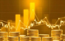 Sàn giao dịch vàng có giúp giảm vàng hóa nền kinh tế hay không?