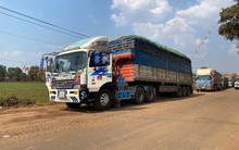 Công điện của Thủ tướng: Ban hành hướng dẫn Nghị định 46 ngay lập tức, báo cáo Chính phủ trước 4/2