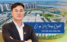 CEO Đất Xanh Miền Bắc: “Hơn 20 năm làm nghề, chưa khi nào tôi thấy thị trường bất động sản khó đoán như bây giờ, hoang mang - kỳ vọng lẫn lộn”