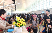 Phú Quốc bùng nổ khách quốc tế tháng 1: tăng hơn 120%, tổng thu vượt 6.100 tỷ đồng