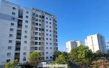 Người lao động chật vật vì giá thuê căn hộ ‘neo’ cao