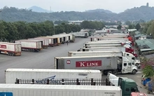 Bộ Y tế chính thức đề xuất tạm dừng Nghị định 46 và Nghị quyết 66.13/2026 của Chính phủ