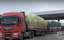 Chính thức: Tạm dừng áp dụng Nghị định 46 về an toàn thực phẩm đến hết ngày 15/4/2026