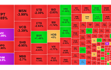 Chứng khoán ngày 5/2: VN-Index giảm 8 điểm