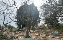 Hà Nội cưỡng chế 7 điểm tập kết cát, sỏi ven sông Hồng