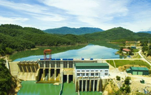 Vì sao Điện lực Trung Sơn bị xử phạt?