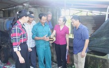 Từng bị lũ cuốn sạch tài sản, nữ nông dân biến 10ha 'đất chết' thành mỏ vàng nuôi rùa, vịt, ba ba..., thu lời đến 1 tỷ đồng/năm