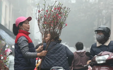 Chi tiết đợt rét buốt sầm sập tràn về miền Bắc từ chiều tối nay: Hà Nội xuống 10 độ, vùng núi có nơi dưới 3 độ