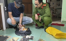 Bắt, khám xét nhà Trần Minh Báu trong đường dây trộm 5.200 con chó, trị giá khoảng 2,6 tỷ đồng