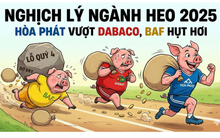 Cứ 100 đồng tài sản, Nông nghiệp Hòa Phát thu về 34 đồng lãi, hiệu suất "không đối thủ" khiến Dabaco và BAF phải hít khói