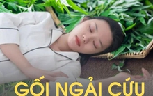 Tôi dùng ngải cứu làm bông nhồi gối trong 6 tháng, sau đó đi khám sức khỏe và bác sĩ đã rất "ghen tị" vì lý do này