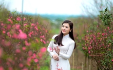 Dự báo thời tiết từ nay đến mùng 6 Tết: Miền Bắc đón thêm đợt không khí lạnh