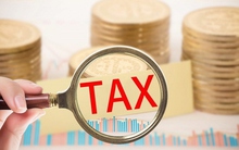 Thuế TP.HCM cảnh báo nóng đối với các hành vi gian lận về thuế, hóa đơn