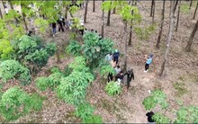 Phát hiện hơn 80 người tập trung tại một khu đất  trống, công an sử dụng công nghệ cao vào cuộc