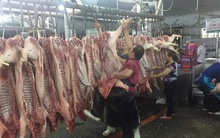 Giá heo hơi hôm nay, 10-3: Heo mảnh tại chợ đầu mối tiếp tục rớt mạnh