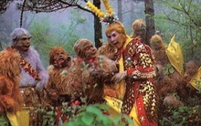 Sao nhí vào vai khỉ 'Tây du ký': Mệnh danh 'hoàng tử môn nhảy cầu', giờ là chủ tịch