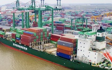 Viconship chốt quyền tham dự ĐHĐCĐ thường niên 2026