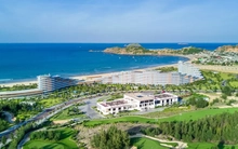 Bùng nổ loạt sự kiện Năm du lịch quốc gia 2026: Pháo hoa thắp sáng Đại ngàn Gia Lai