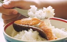 Hóc xương cá phải làm sao? Đừng nuốt cơm, làm 2 cách này hiệu quả, ai cũng làm được